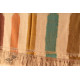 shop Kashmiri handwoven Pure Pashmina Kani Checks Shawl