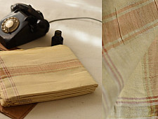Damodar . दामोदर  ✹ Handloom Cotton Fine Cotton with Zari Border