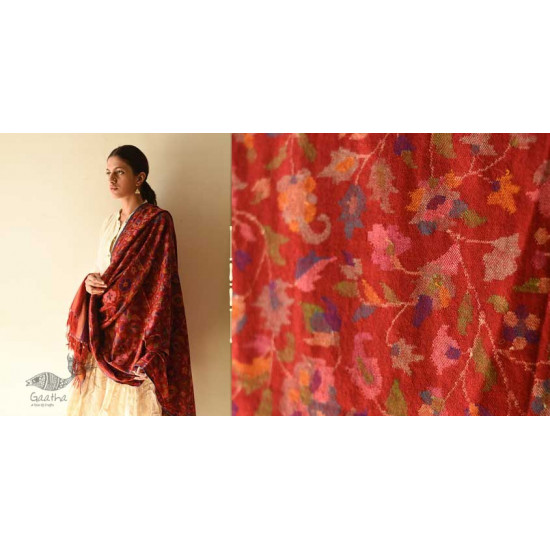 shop Kashmiri Kani Pashmina Wool Shawl