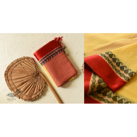 Casual Classics ❊ Everyday Handloom Saree for 