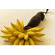 shop Handmade Wooden Wall Hanging ~ Monkey & Bananas