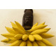 shop Handmade Wooden Wall Hanging ~ Monkey & Bananas