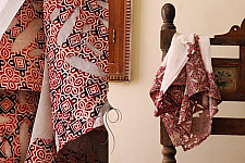 Sweet Smelling Frangipani ❀ Applique Dupatta ❀ 10