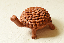 Maati Ka Kaam ✧ Terracotta - Turtle 