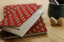 As vines covered the courtyard  ☀ Notebook ( Set of Two ) - 7
