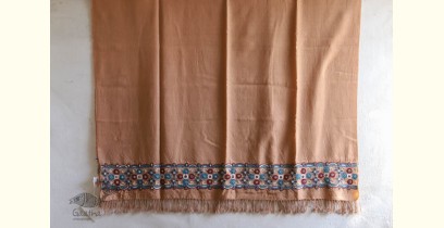 Aghan | अगहन ⁂ Aahir + Soi Embroidery ⁂ Merino Wool Shawl ⁂ 19