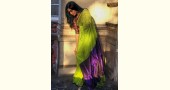 Silk cotton handloom saree - Parrot Green