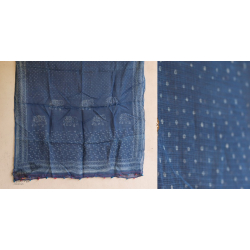 Vani ✜ Kota Block Printed ✜ Duppatta-14