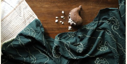 Ada . अदा | Hand loom Cotton . Tussar |Bandhani stole - 3