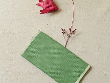Mountain Loom ✜ Handloom Cotton Scarf - Light Green