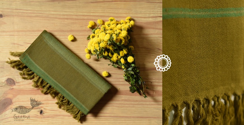 shop handloom wool stole - Leaf Green