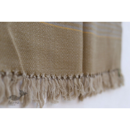 Falguni ✜ Handloom Woolen Stole ✜ 47