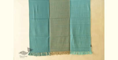 Stay Cozy | Himalayan Handloom Woolen Shawl - Sky Blue & Beige 