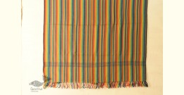 Stay Cozy | Handloom Woolen Shawl - Rainbow Colors