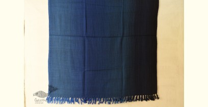 Stay Cozy | Himalayan Handwoven Woolen Shawl