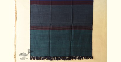 Stay Cozy | Himalayan Woolen Shawl - Purple & Blue