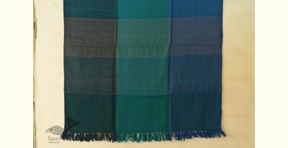Stay Cozy | Uttarakhand Wool - Peacock Feather Colors