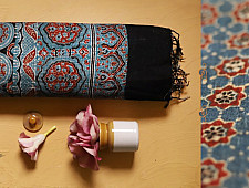 फ़लक ✽ Ajrakh Linen Saree ~ 01