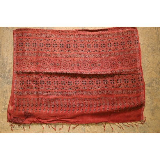 फ़लक ✽ Ajrakh Linen Saree ~ 24