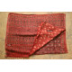 फ़लक ✽ Ajrakh Linen Saree ~ 24