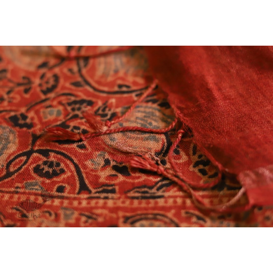 फ़लक ✽ Ajrakh Linen Saree ~ 24