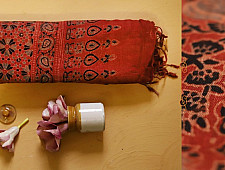 फ़लक ✽ Ajrakh Linen Saree ~ 24