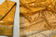 Padmapriya | Handwoven Chanderi Silk Saree - Elephant Motif