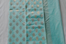 Padmapriya | Handwoven Silk - Chanderi Golden Border Saree - Sky Blue