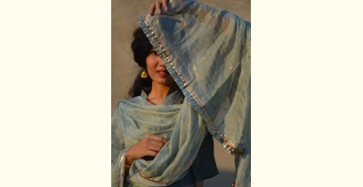 Gulshan ✿ Tissue silk Embroidered Dupatta ✿ 6