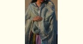 Gulshan ✿ Tissue silk Embroidered Dupatta ✿ 6
