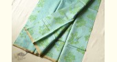 Handloom Printed Chanderi Saree - Green & Blue