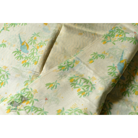 Handwoven Printed Chanderi Parrot Printed Saree