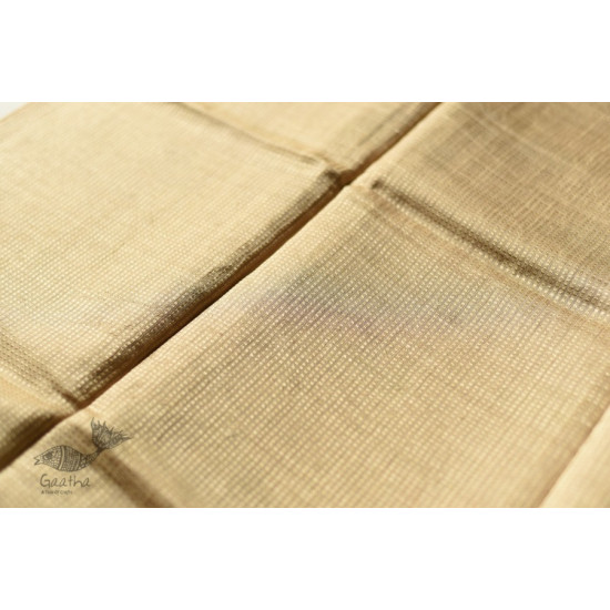 Handloom Chanderi Tissue Silk Saree Beige