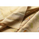 Handloom Chanderi Tissue Silk Saree Beige