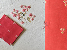 Maalti . मालती | Chanderi Woven Boota Red Dupatta