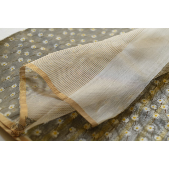 Handloom Printed Chanderi Saree