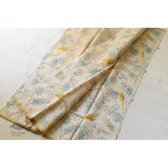 Handloom Printed Chanderi Saree Parrot Motif