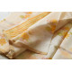 Handloom Printed Chanderi Saree