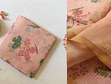 Manjula ~ Handloom Printed Chanderi Light Pink Saree