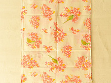 Nisarg . निसर्ग ✮ Printed Cotton Stole 