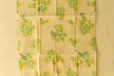 Nisarg . निसर्ग ✮ Printed Cotton Stole - Parrot Bird Motif