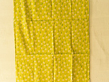 Nisarg . निसर्ग ✮ Hand Block Printed Cotton Stole - Parrot Green