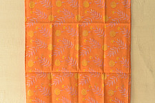 Nisarg . निसर्ग ✮ Hand Block Printed Cotton Stole - Orange