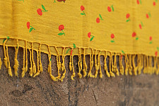Vishwa ❤ Angora Wool ❤ Printed Stole ~ 18