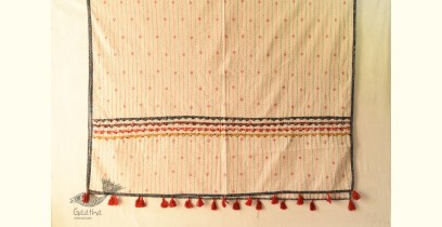 Applique & Embroidered Cotton Dupatta ~ Blue Border