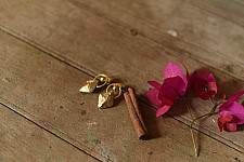 Prabha . प्रभा ❄ Brass Dhokra Stud Earring