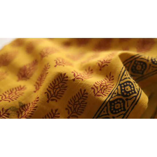 Bagh Printed Cotton Fabric (2.5 Mtr.) ❁ 2