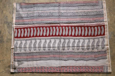 Chinmayi * Bagh Printed . Maheshwari Saree * 7