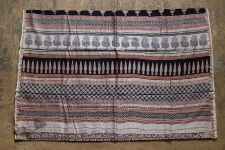 Chinmayi * Bagh Printed . Chanderi Saree * 14