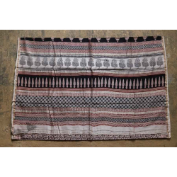 Chinmayi * Bagh Printed . Chanderi Saree * 14